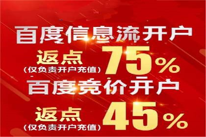 行业领先企业的SEM代运营成功之路