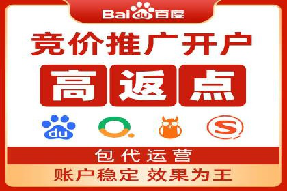 搜索引擎营销（SEM）的精准投放技巧案例