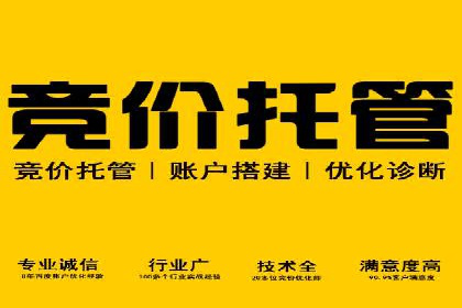 某sem代运营公司助力小企业逆袭大市场